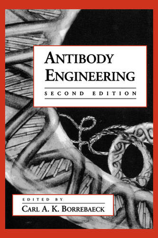 Antibody Engineering: (Breakthroughs in Molecular Biology 2nd Revised edition)