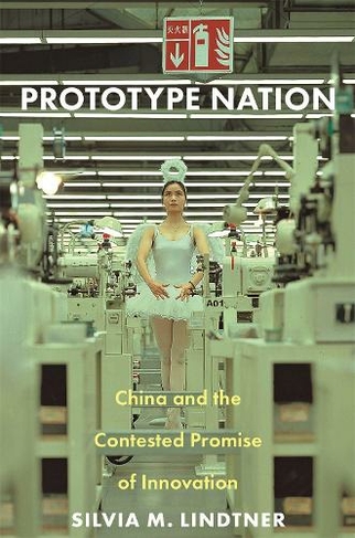 Prototype Nation: China and the Contested Promise of Innovation (Princeton Studies in Culture and Technology)