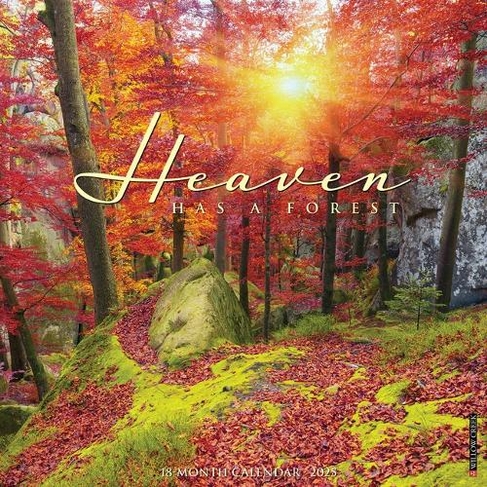 Heaven Has a Forest 2025 12 X 12 Wall Calendar