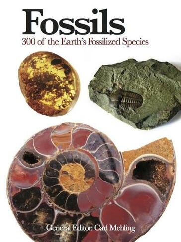 Fossils: 300 of the Earth's Fossilized Species (Mini Encyclopedia)