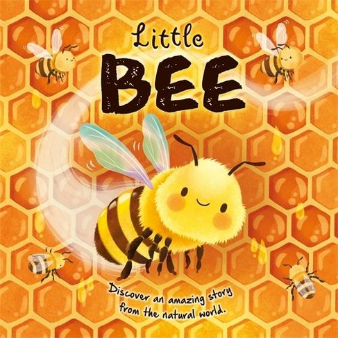 Little Bee: (An illustrated story about the life-cycle of a bee)